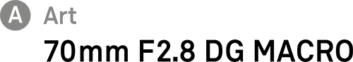 Sigma 70mm F2.8 DG MACRO Art - logo